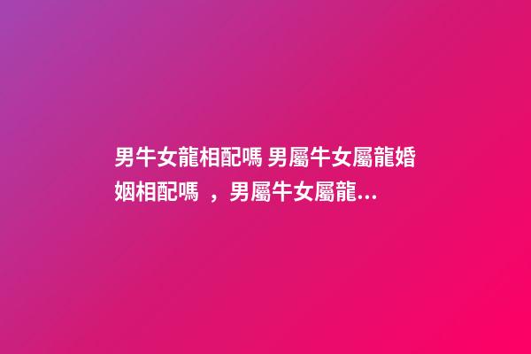 男牛女龍相配嗎 男屬牛女屬龍婚姻相配嗎，男屬牛女屬龍旺夫嗎-第1張-觀點(diǎn)-玄機(jī)派